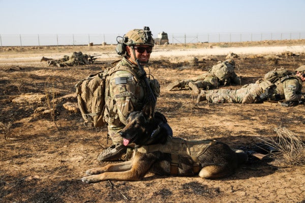 We salute ‘The Dude’ for being ‘the coolest military working dog ever’