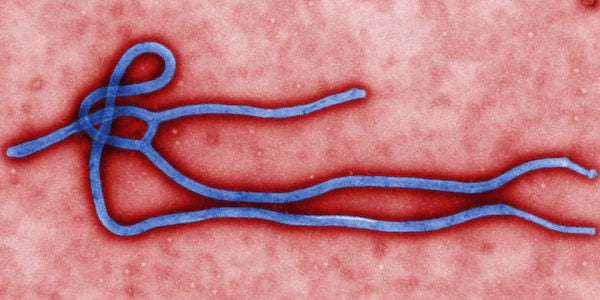 The Army Is Playing A Key Role In Finding A Cure For Ebola