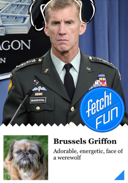 11 Top Post-9/11 Generals As Dogs