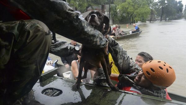 30,000 National Guard Troops Prepared To Assist In Response To Harvey