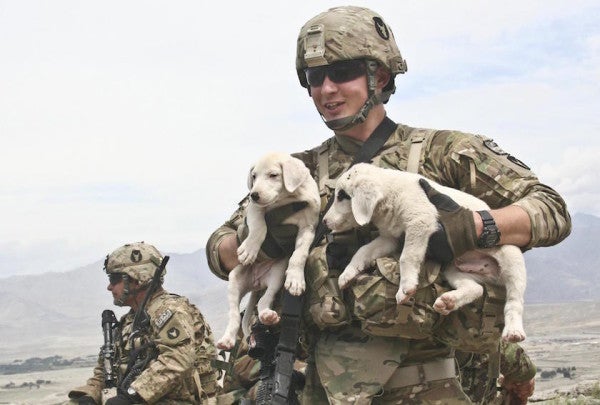 8 Photos Of Deployment Puppies That Will Make Your Day Better