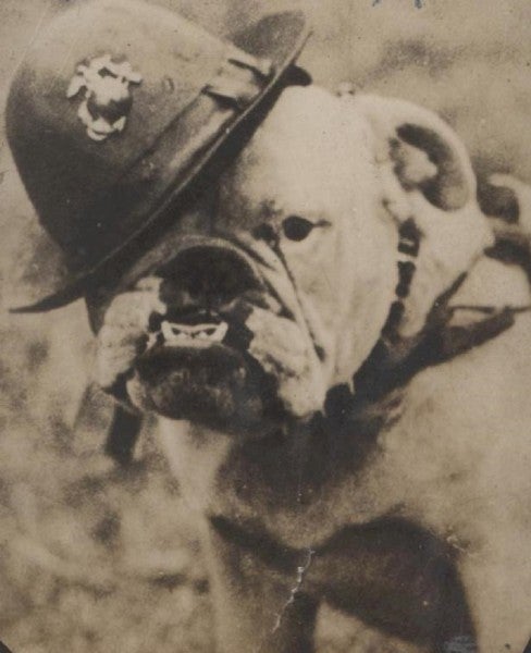 If You Thought Chesty The Bulldog Was The Original Corps Mascot, You’d Be Wrong