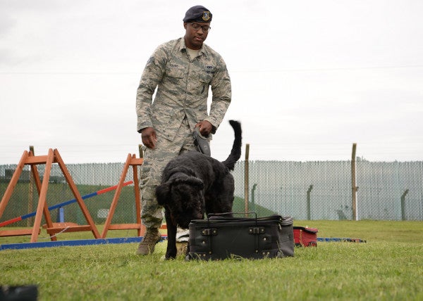 New Breed Of Military Working Dog Leaves His Mark On The Air Force