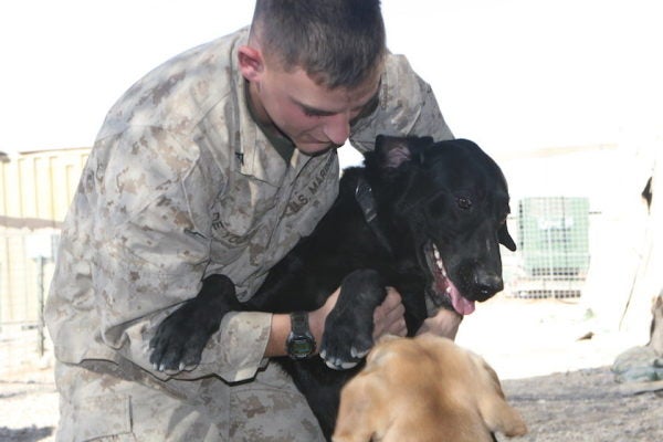 This Marine Dog With Cancer Received A Hero’s Farewell From Hundreds In His Hometown