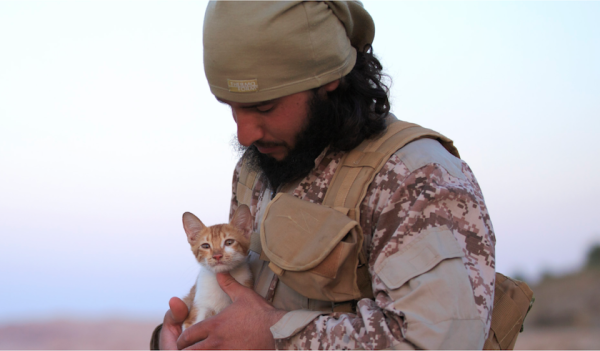 Adorable Kitten Becomes Unlikely Poster Child Of The Islamic State