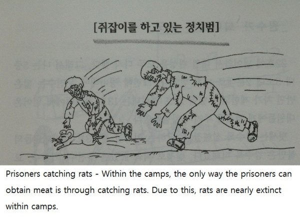 The Stories From Inside North Korea’s Prison Camps Are Horrifying