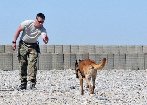 UNSUNG HEROES: The Military Dog Who Saved 4 Lives In An RPG Attack