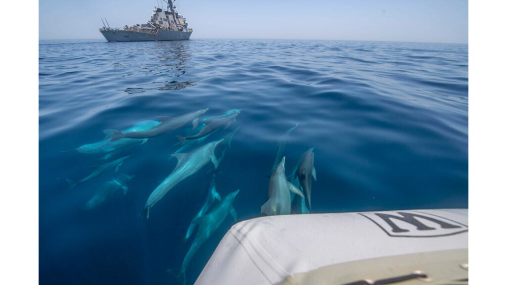 A pod of dolphins travels with the guided missile destroyer USS Paul Hamilton in the Persian Gulf, May 17, 2020. Paul Hamilton is deployed to the U.S. 5th Fleet area of operations to ensure maritime stability and security in the region. (Navy photo / Petty Officer 3rd Class Matthew Jackson)