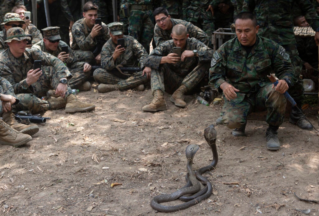 PETA is trying to save deadly snakes from bloodthirsty Marines