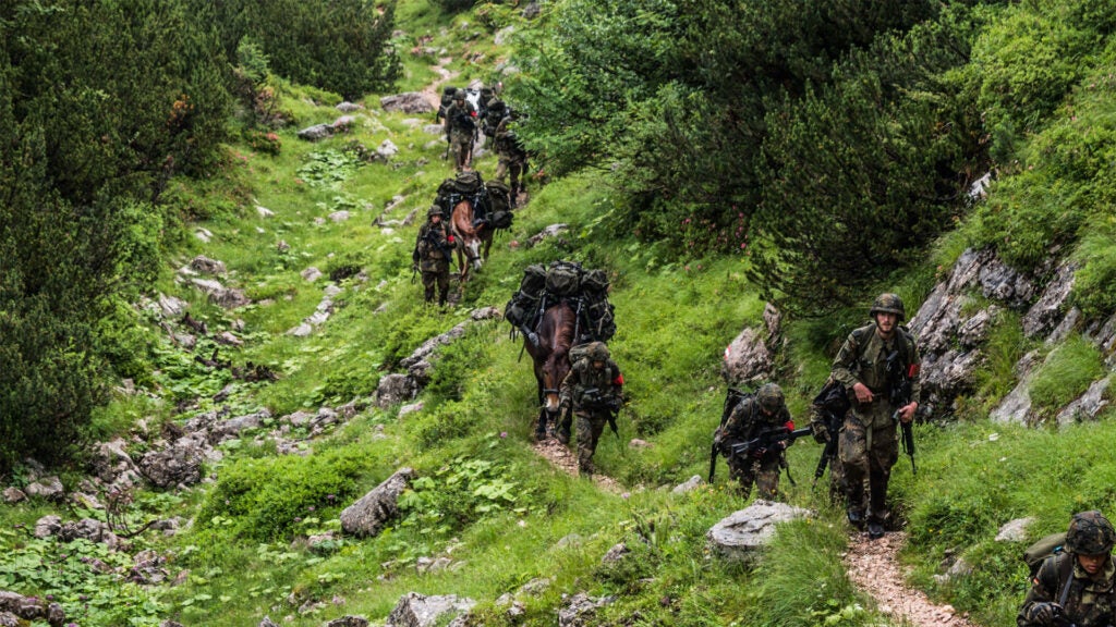 Members of the German Mountain Infantry Brigade and their mules on exercise Mountain Lion in the Alps in 2018. The unit is the last brigade in the Bundeswehr that uses horses and mules. (NATO photo)