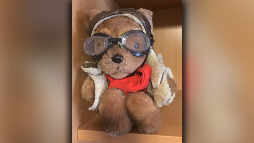 These stuffed animals have way more flight hours than you