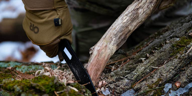 Stainless steel vs carbon: What blade makes the best survival knife?