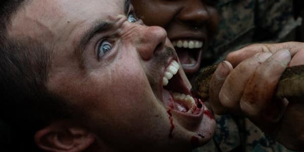 PETA demands ‘giddy Marines’ stop ‘guzzling cobra blood’ at Cobra Gold training exercise