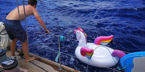 The Coast Guard Is On The Hunt For This Unicorn’s Master