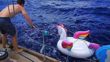 The Coast Guard Is On The Hunt For This Unicorn’s Master