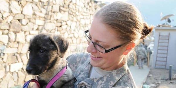 The Dog I Brought Home From Afghanistan Actually Rescued Us