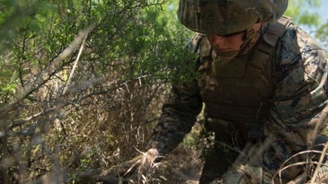 Marines Are Quietly Monitoring The US-Mexico Border To Stop Migrants And Drug Traffickers