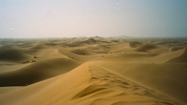 I Sought A Peaceful Poop In The Kuwaiti Desert. Then The Convoys Arrived