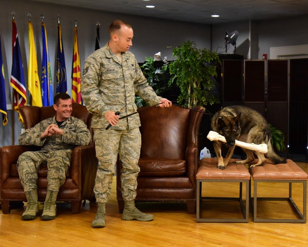How to Retire a Military Working Dog