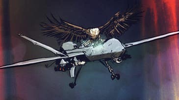 Bald Eagles Train To Battle Drone Army
