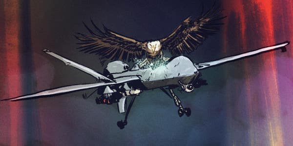 Bald Eagles Train To Battle Drone Army