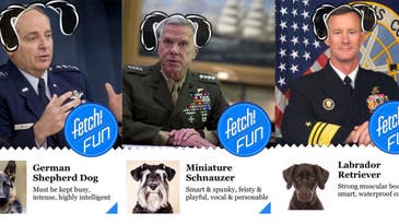 11 Top Post-9/11 Generals As Dogs