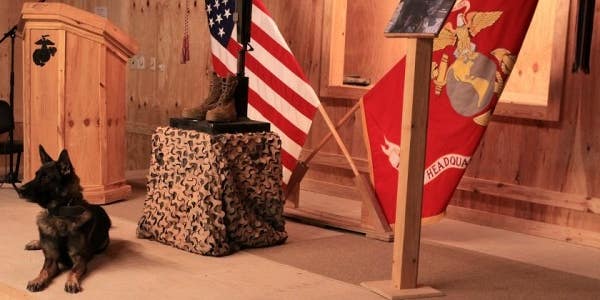 Bond Between A Marine And His Dog Continues After Death