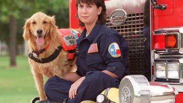 The Last Living 9/11 Search Dog Receives Final Salute Before Her Passing