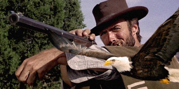 Army Vet Uses Rifle To Rescue Bald Eagle Clint Eastwood-Style