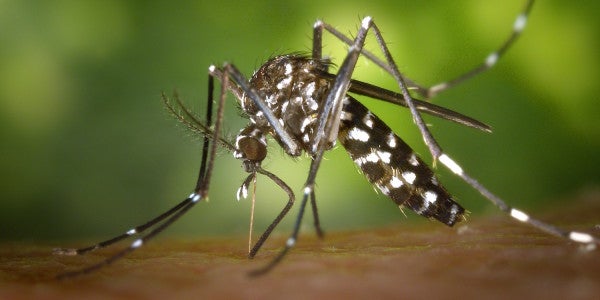 At Least 33 US Troops Have Contracted Zika