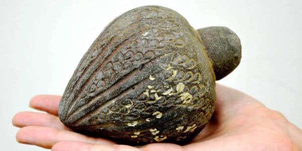 Believe It Or Not, This Is An 1,000-Year-Old Hand Grenade