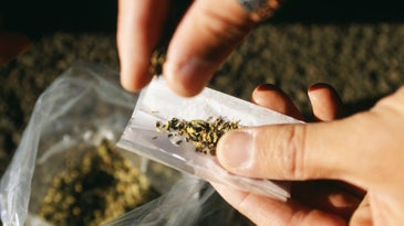 New Jersey Approves Medical Marijuana For PTSD Treatment