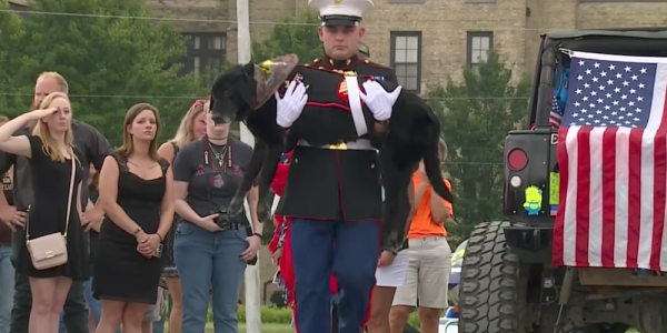 This Marine Dog With Cancer Received A Hero’s Farewell From Hundreds In His Hometown