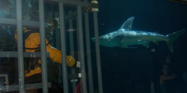 This Shark Tank Is Teaching Wounded Troops How To Overcome Their Injuries