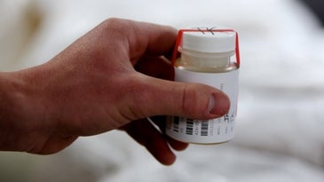 Sailor Under Investigation For ‘Intentional’ Fire That Destroyed Drug Test Samples