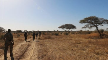 REPORT: 3 Green Berets Killed In Niger Ambush