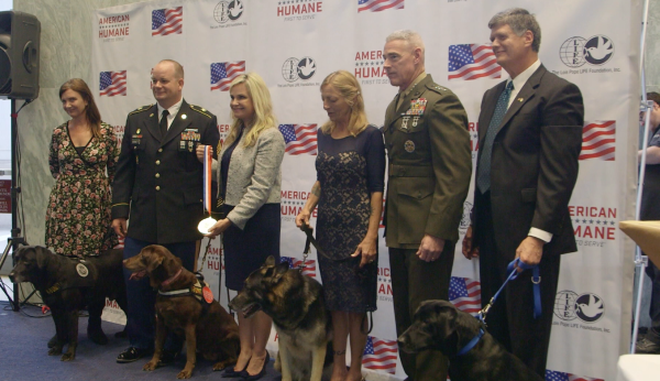 Very Good Dog Veterans Receive Medals For Courage In Battle