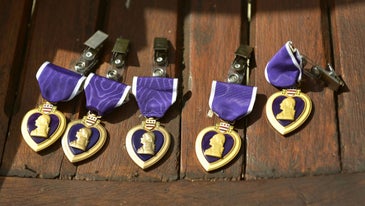 Vietnam Vet's Claim Of 9 Purple Hearts Launches Yearlong Investigation Into His Military Record