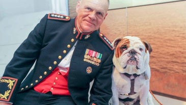 Friday Dog: Chesty XV, The Marine Corps Bulldog