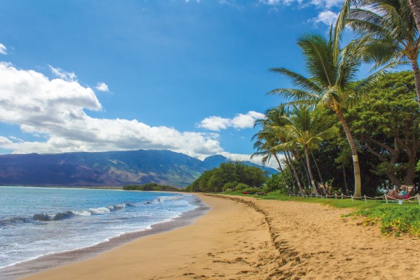 Your Hawaii Area Guide