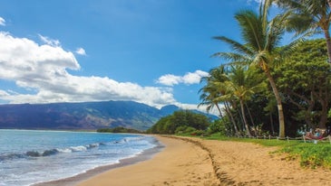 Your Hawaii Area Guide
