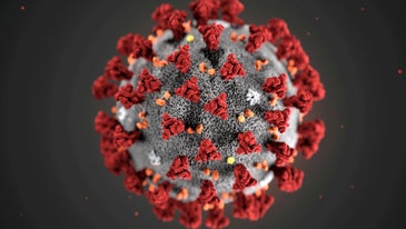 Washington state reports first coronavirus death in United States