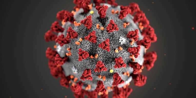 DoD adopts strict global travel restrictions to fight coronavirus