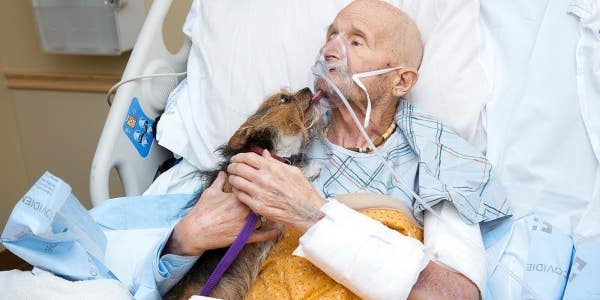 Vietnam veteran in hospice care had a simple request: To reunite with his dog one last time
