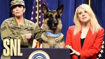 Conan the hero dog answers questions from the press on 'Saturday Night Live'