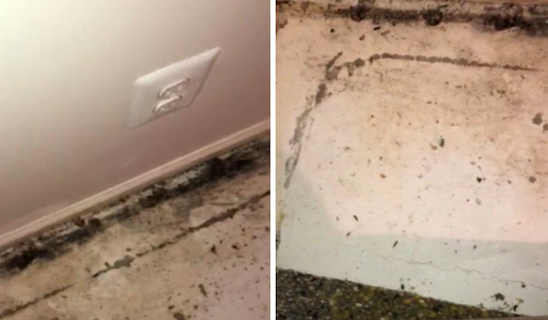 Military families are suing their private housing provider over ‘rampant mold infestation’ at Fort Meade
