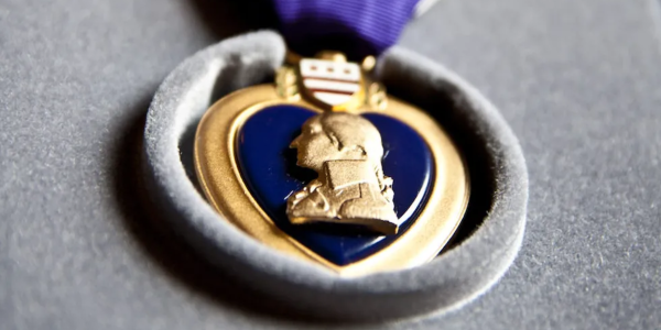 Florida senators are pushing for Purple Hearts for service members wounded in the NAS Pensacola shooting