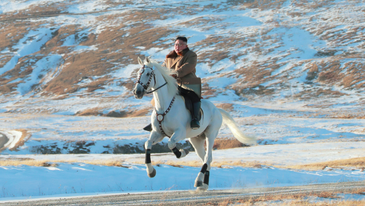 Kim Jong Un keeps spending tens of thousands of dollars on horses from Russia