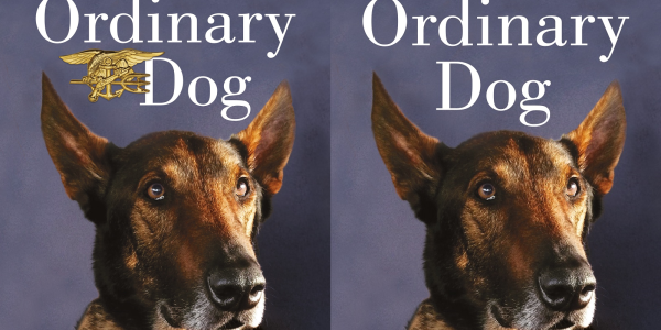 Navy tells SEAL to remove Trident from his book about Cairo, the hero dog alongside him on the Bin Laden raid