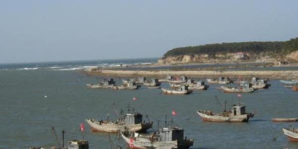 Hundreds of Chinese fishing boats lurking off South America add to fears about a future war for fish